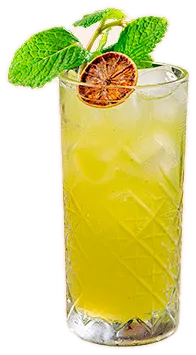 Mojito 22, como servido na casa